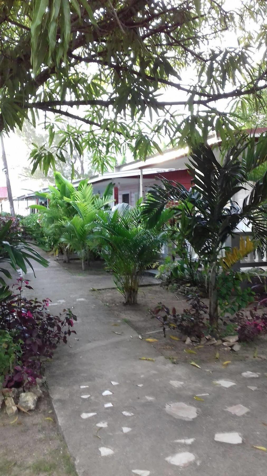 Roots Bamboo Beach Resort Negril Eksteriør billede
